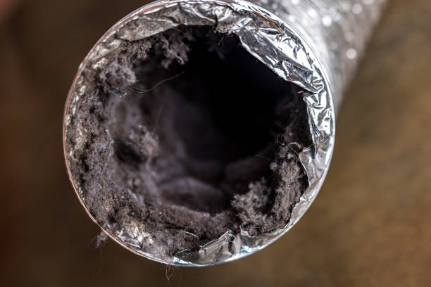 Air Duct Mold Removal in Center Point, NM